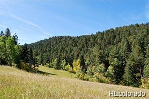 MLS Image #30 for 11715 s maxwell hill road,littleton, Colorado