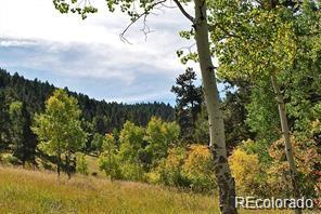 MLS Image #32 for 11715 s maxwell hill road,littleton, Colorado
