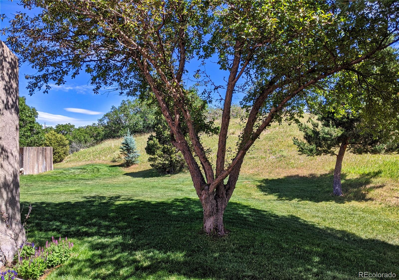 MLS Image #12 for 1405 s mountain view road,castle rock, Colorado