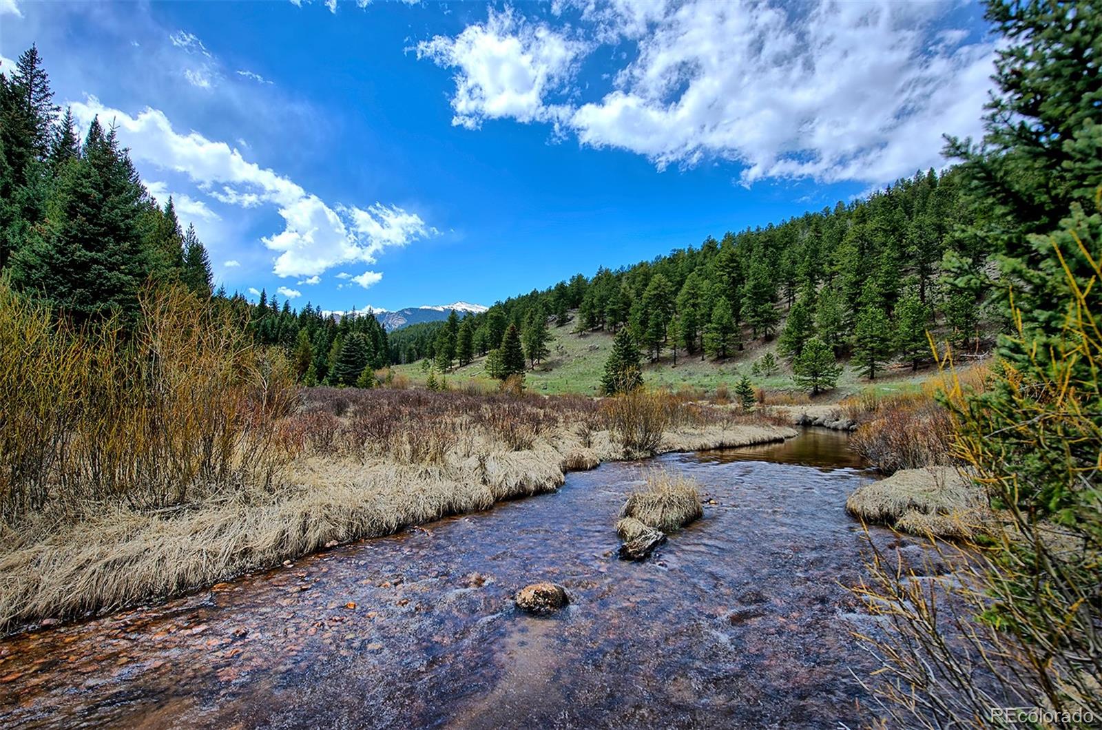 MLS Image #4 for 7824  upper bear creek road,evergreen, Colorado