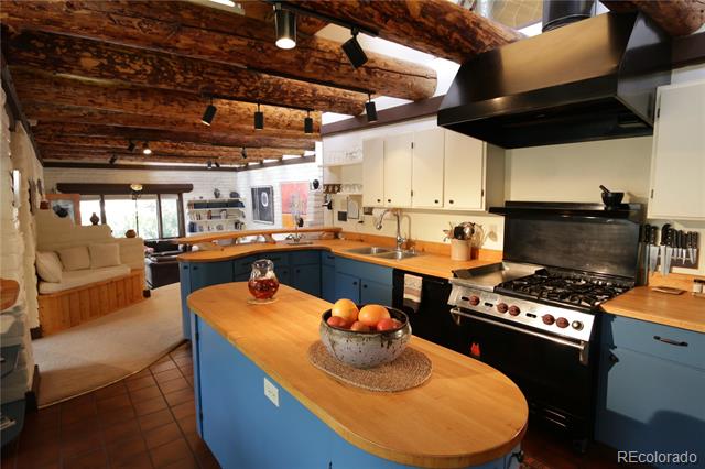 MLS Image #10 for 625  pine street,lake city, Colorado