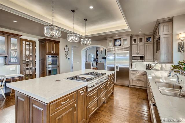 MLS Image #10 for 1127  northwood court,castle pines, Colorado