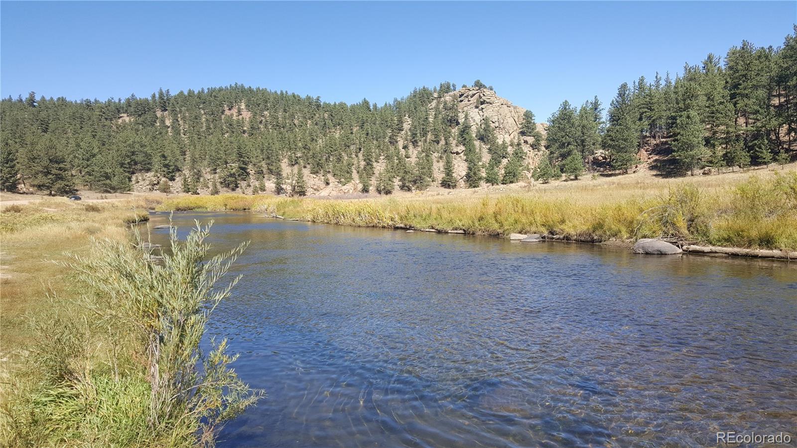 MLS Image #0 for 202  platte road,lake george, Colorado