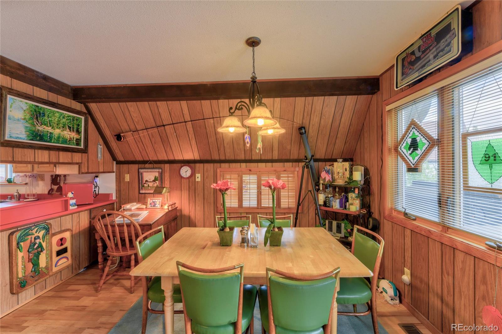 MLS Image #10 for 202  platte road,lake george, Colorado