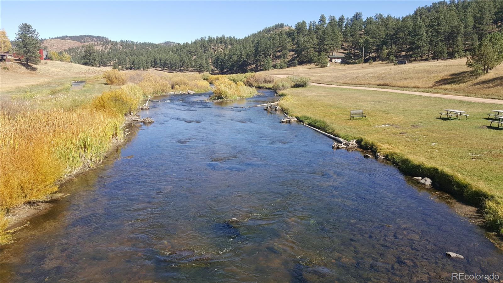 MLS Image #2 for 202  platte road,lake george, Colorado