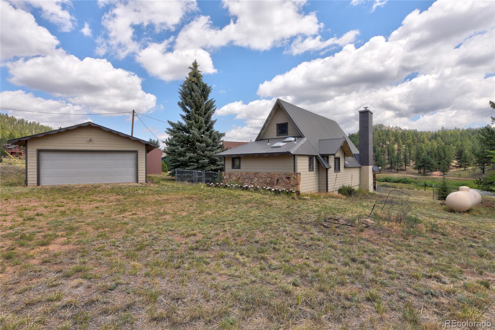 MLS Image #5 for 202  platte road,lake george, Colorado