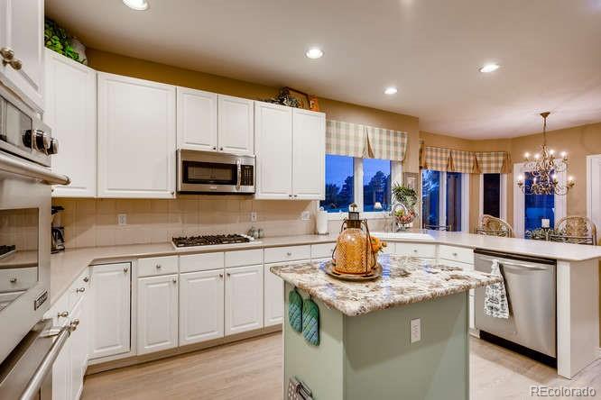 MLS Image #8 for 7971 s oak hill court,centennial, Colorado