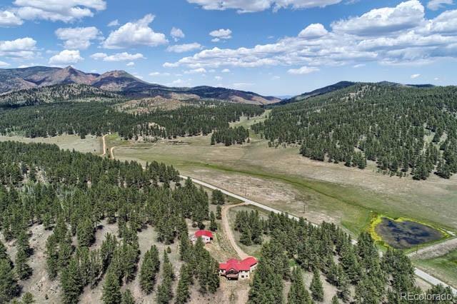 MLS Image #5 for 37081  county 77 road,lake george, Colorado