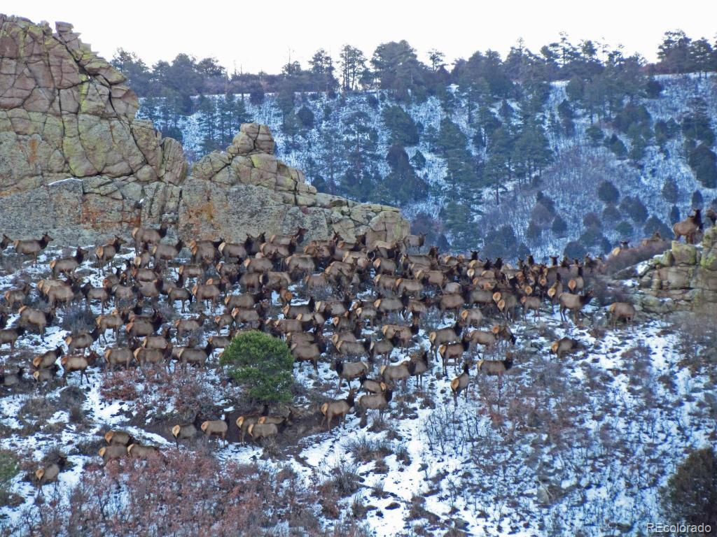 MLS Image #2 for 741  big wall lane,la veta, Colorado