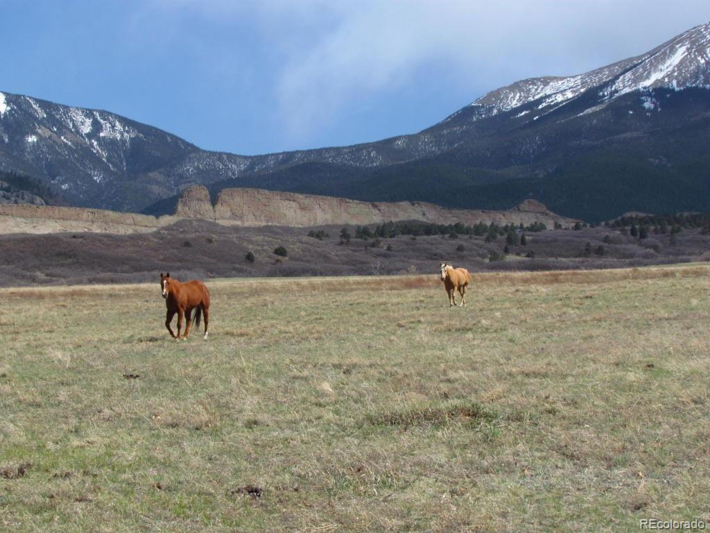 MLS Image #5 for 741  big wall lane,la veta, Colorado