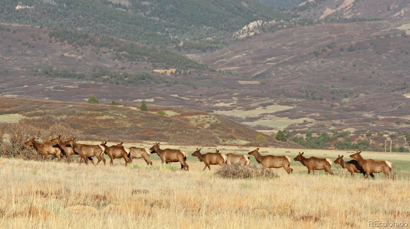 MLS Image #8 for 741  big wall lane,la veta, Colorado