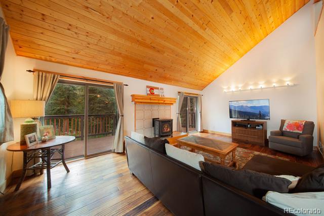 MLS Image #1 for 377  county road 675 ,breckenridge, Colorado