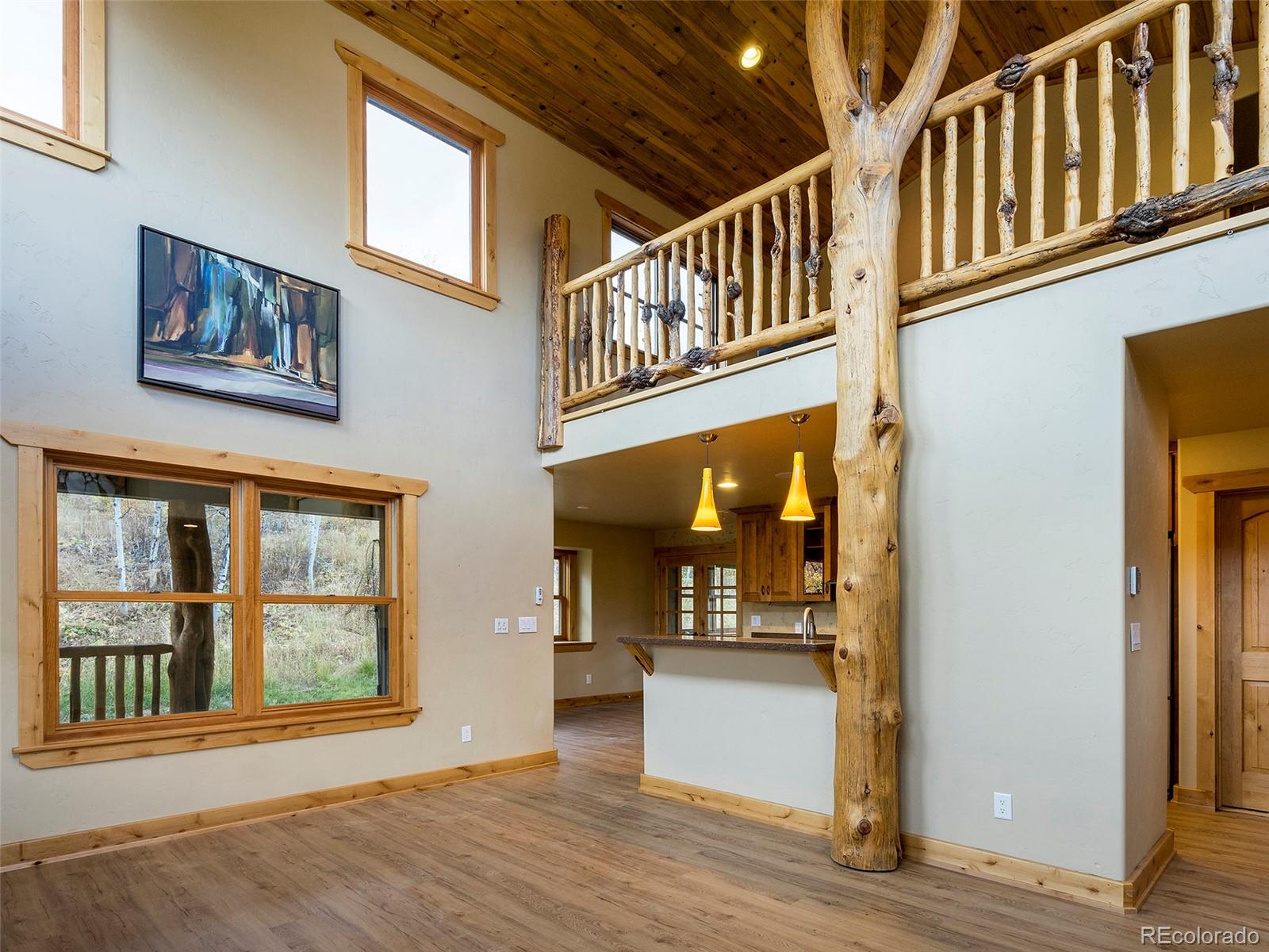 MLS Image #4 for 26010  old springs road,oak creek, Colorado