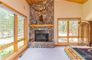 MLS Image #20 for 298  pine forest road,lake george, Colorado