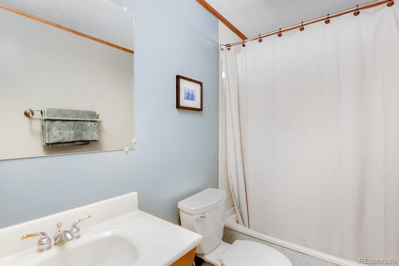 MLS Image #10 for 16650  mt vernon road,golden, Colorado