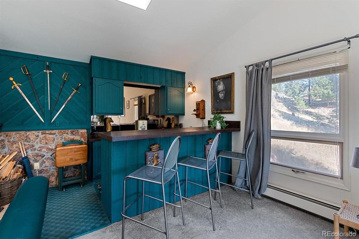 MLS Image #20 for 229  pauls road,evergreen, Colorado