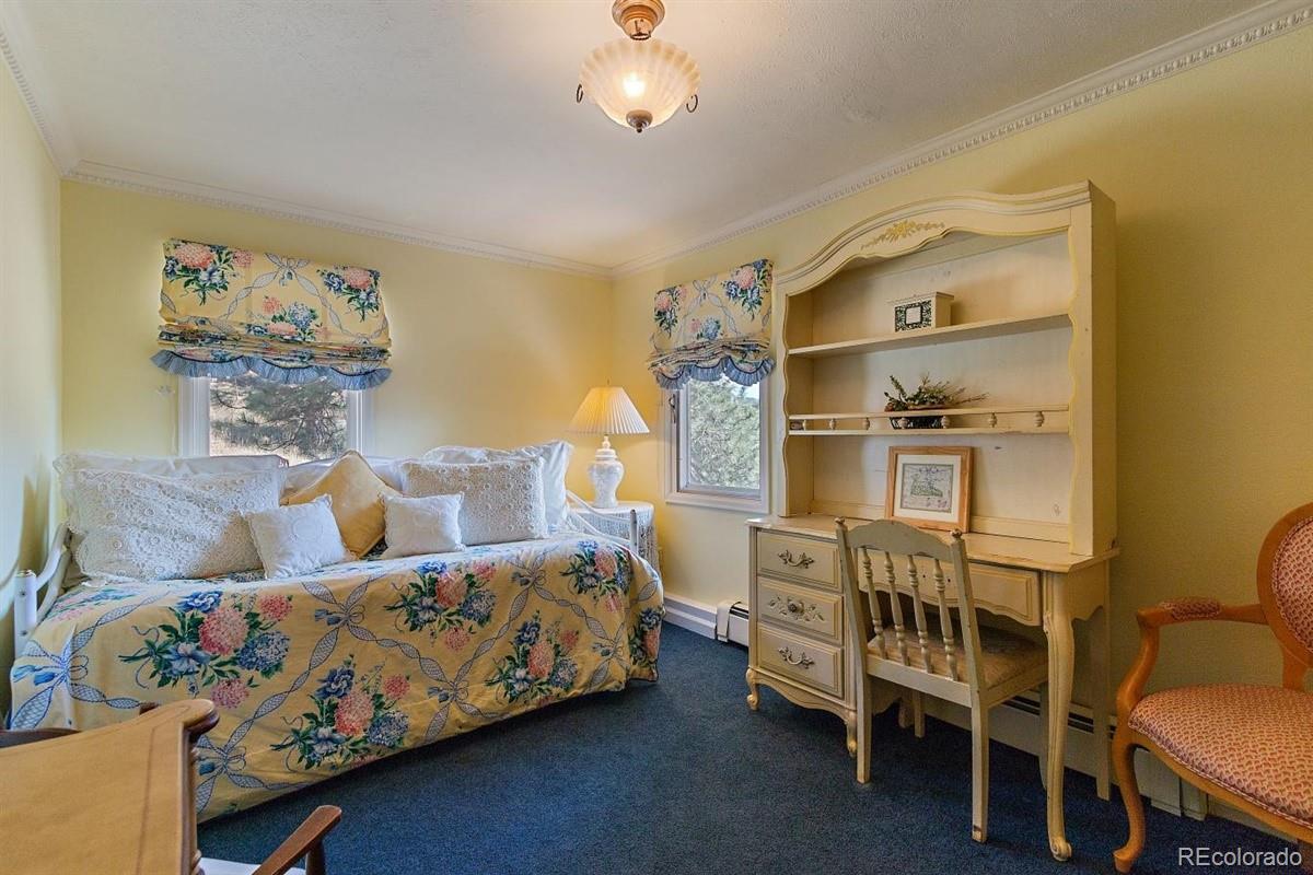 MLS Image #30 for 229  pauls road,evergreen, Colorado