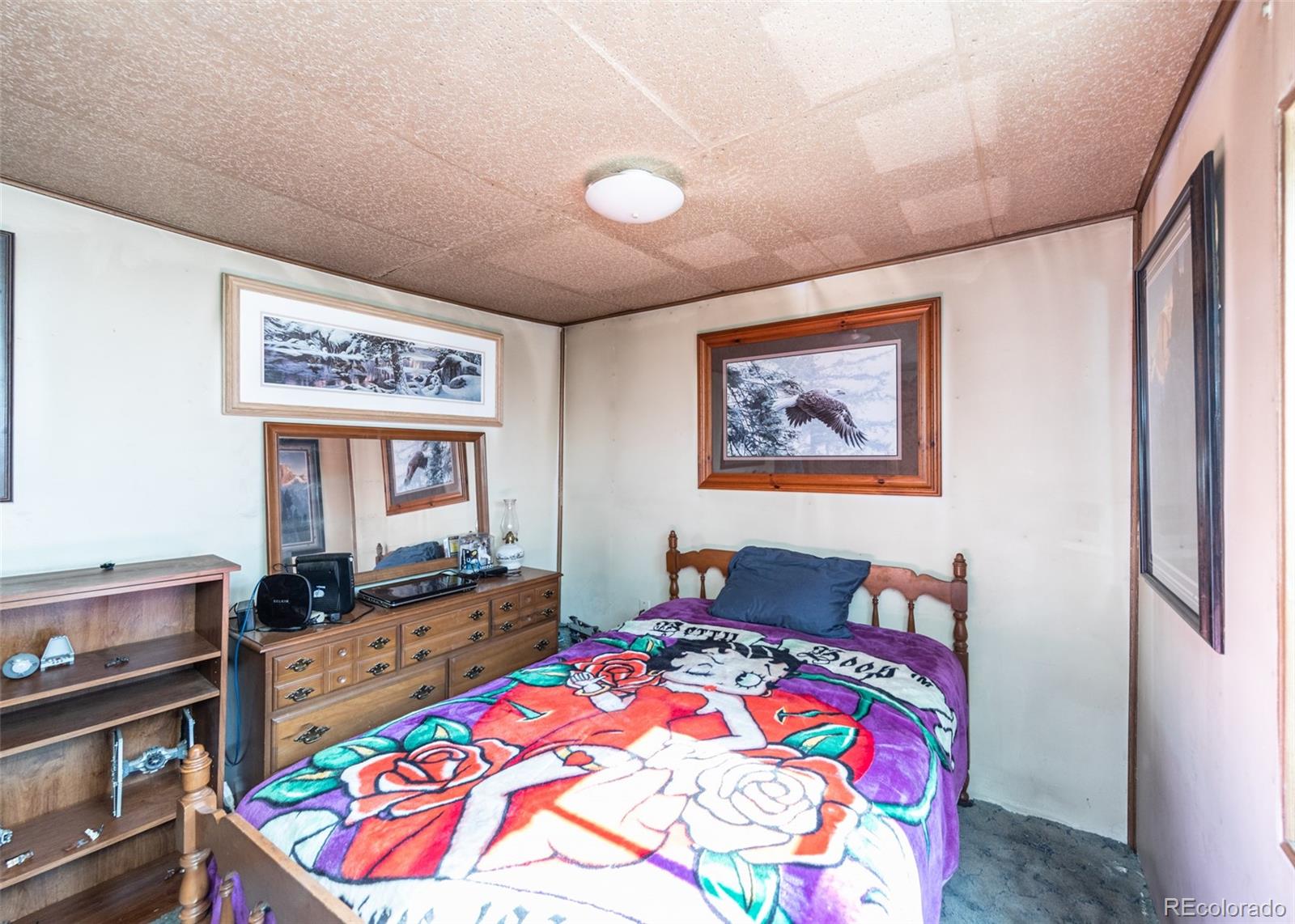 MLS Image #20 for 7600  doe valley road,guffey, Colorado