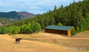 MLS Image #3 for 54652  us highway 285 ,shawnee, Colorado