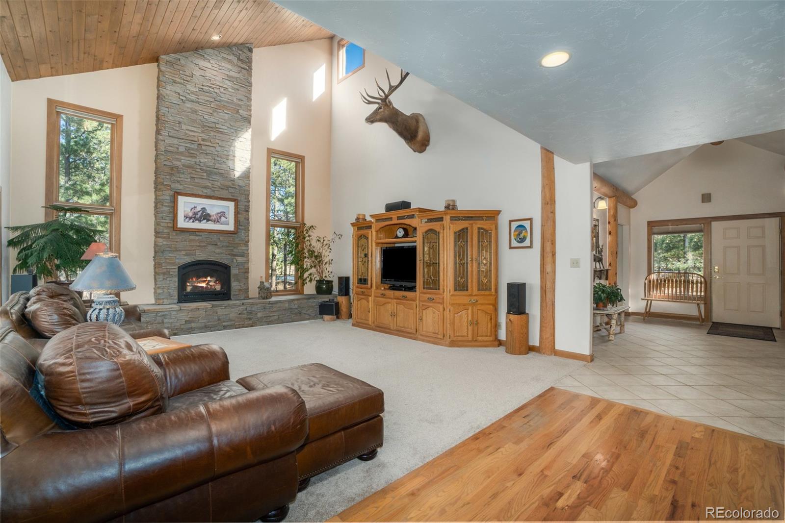 MLS Image #6 for 4091  yucca lane,larkspur, Colorado