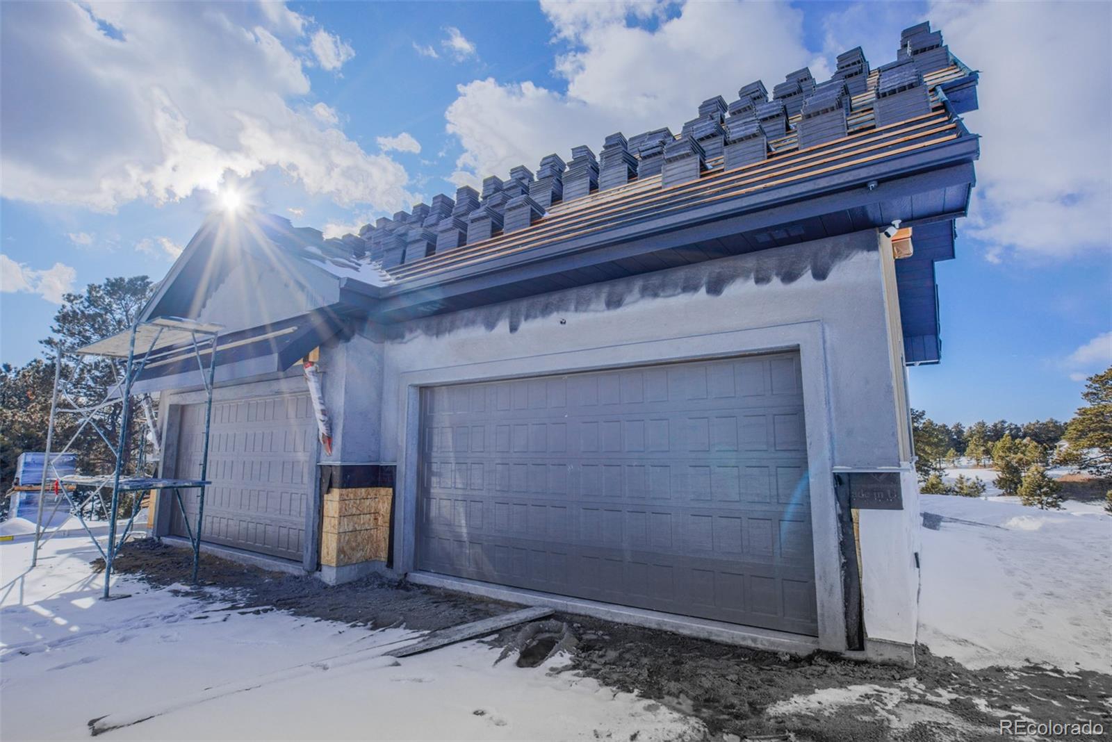 MLS Image #4 for 3640  blue heron spring lane,colorado springs, Colorado