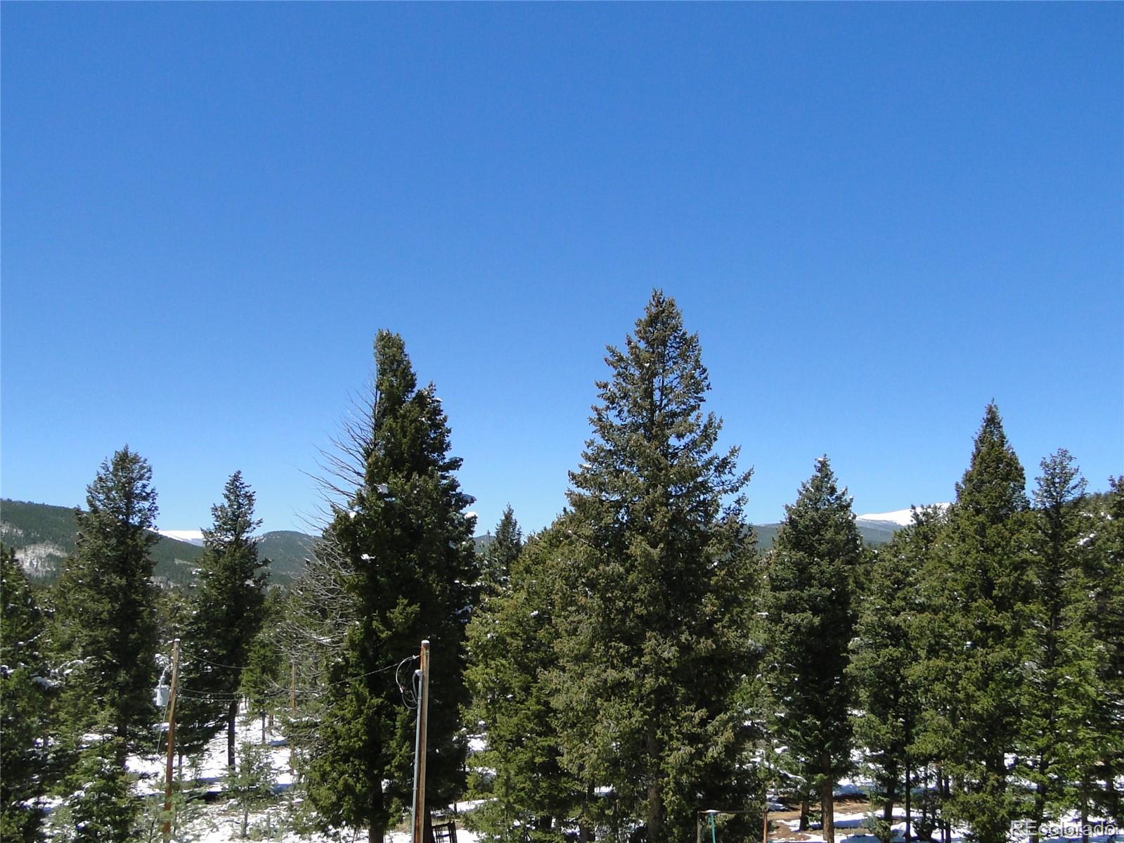 MLS Image #4 for 600  forest drive,bailey, Colorado