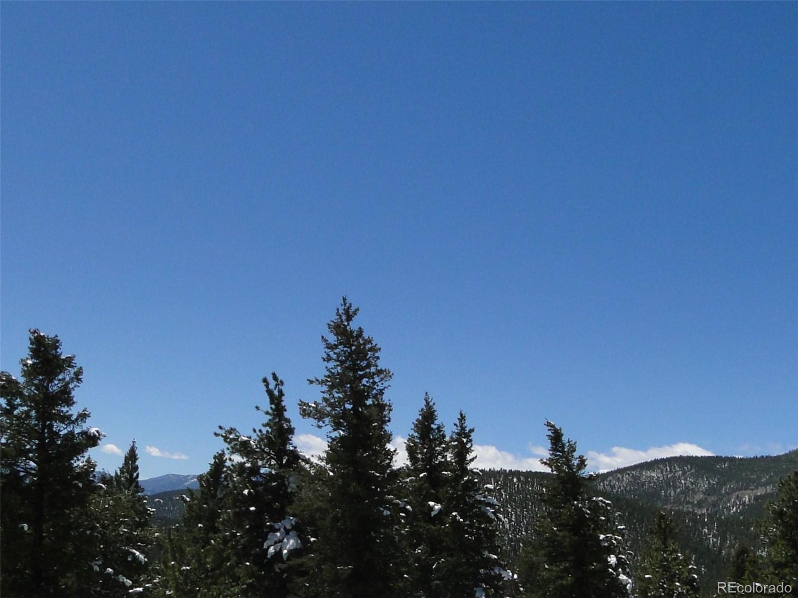 MLS Image #5 for 600  forest drive,bailey, Colorado