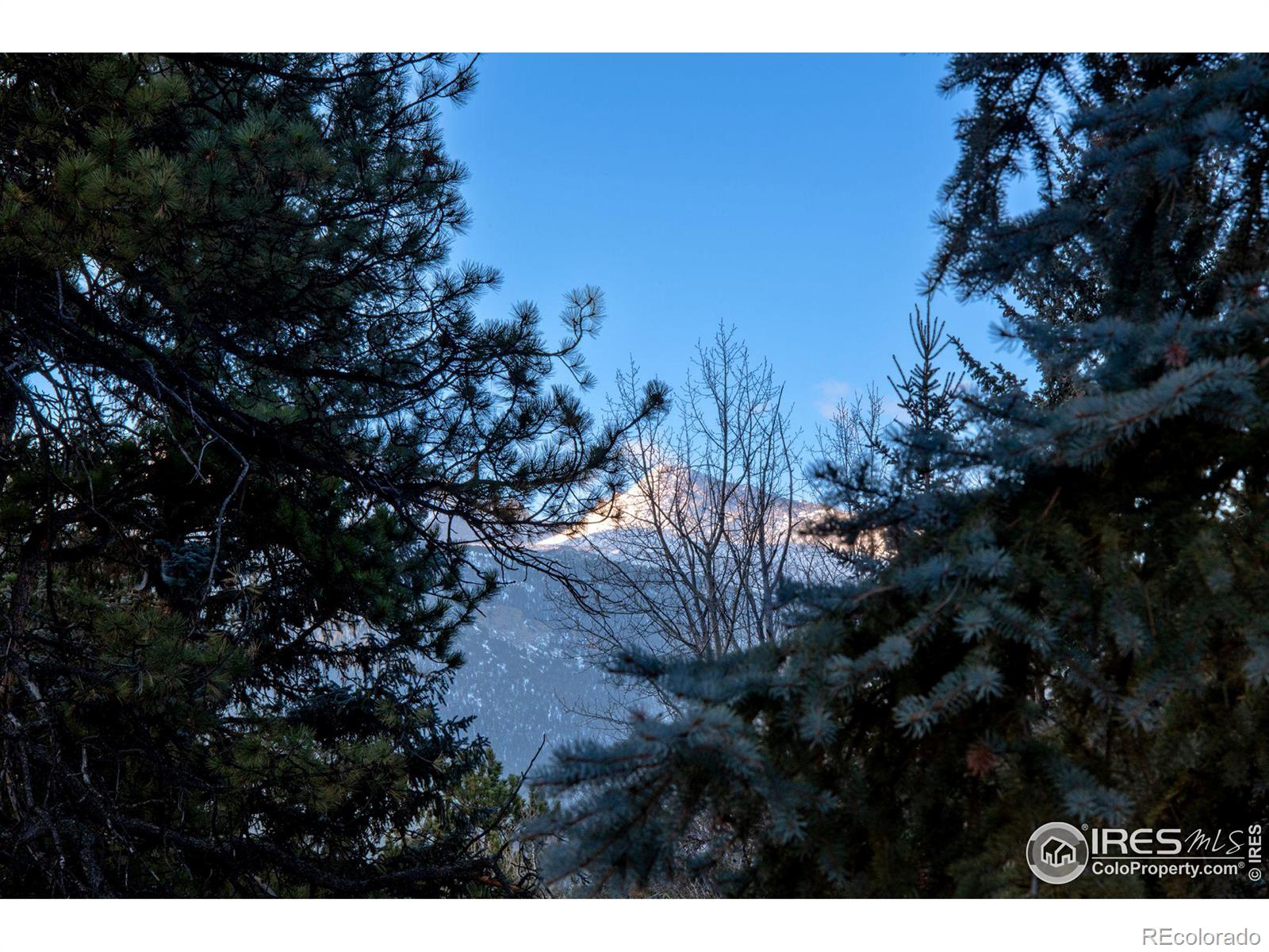 Report Image #1 for 2391  Wild Bear Way,Estes Park, Colorado