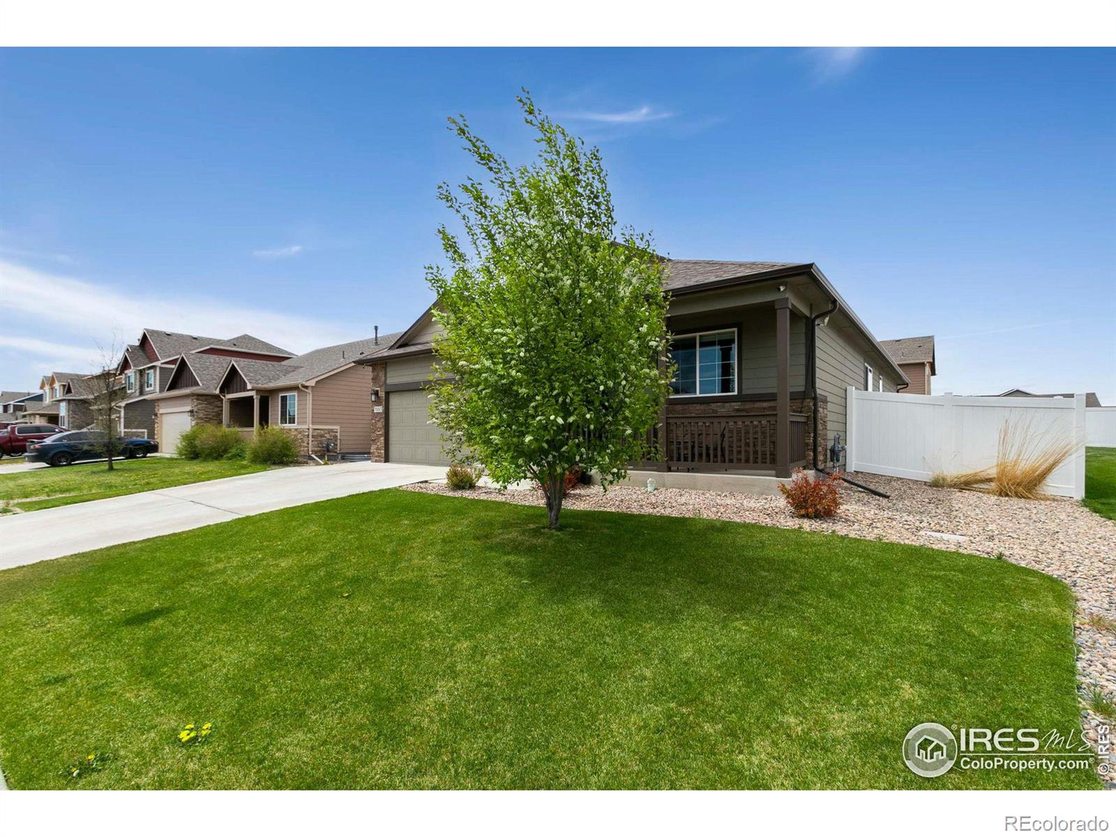 Report Image #1 for 7557  Back Stretch Drive,Wellington, Colorado