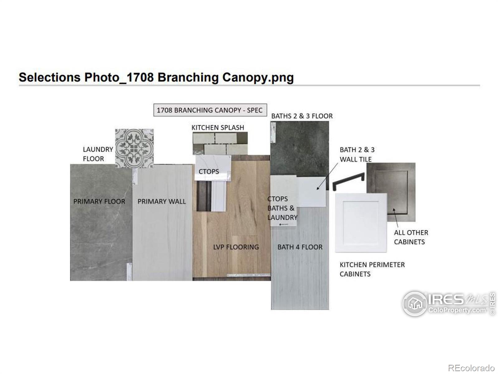 Report Image # for 1708  Branching Canopy Drive,Windsor, Colorado