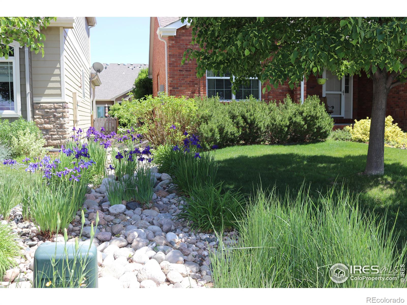Report Image #1 for 1679  Green River Drive,Windsor, Colorado