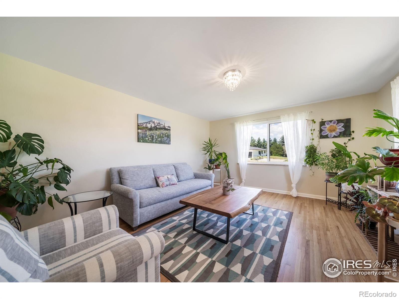 Report Image #1 for 856  Applewood Drive,Lafayette, Colorado