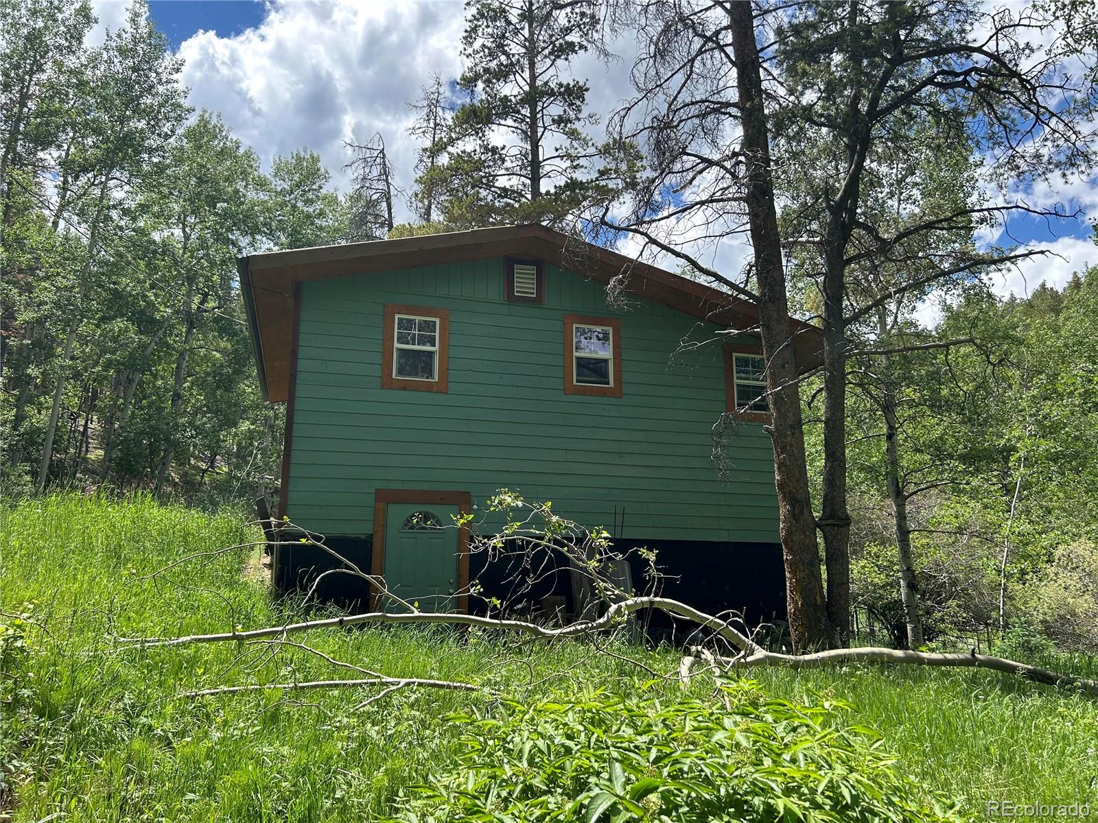 Report Image #1 for 106  Brook Road,Evergreen, Colorado