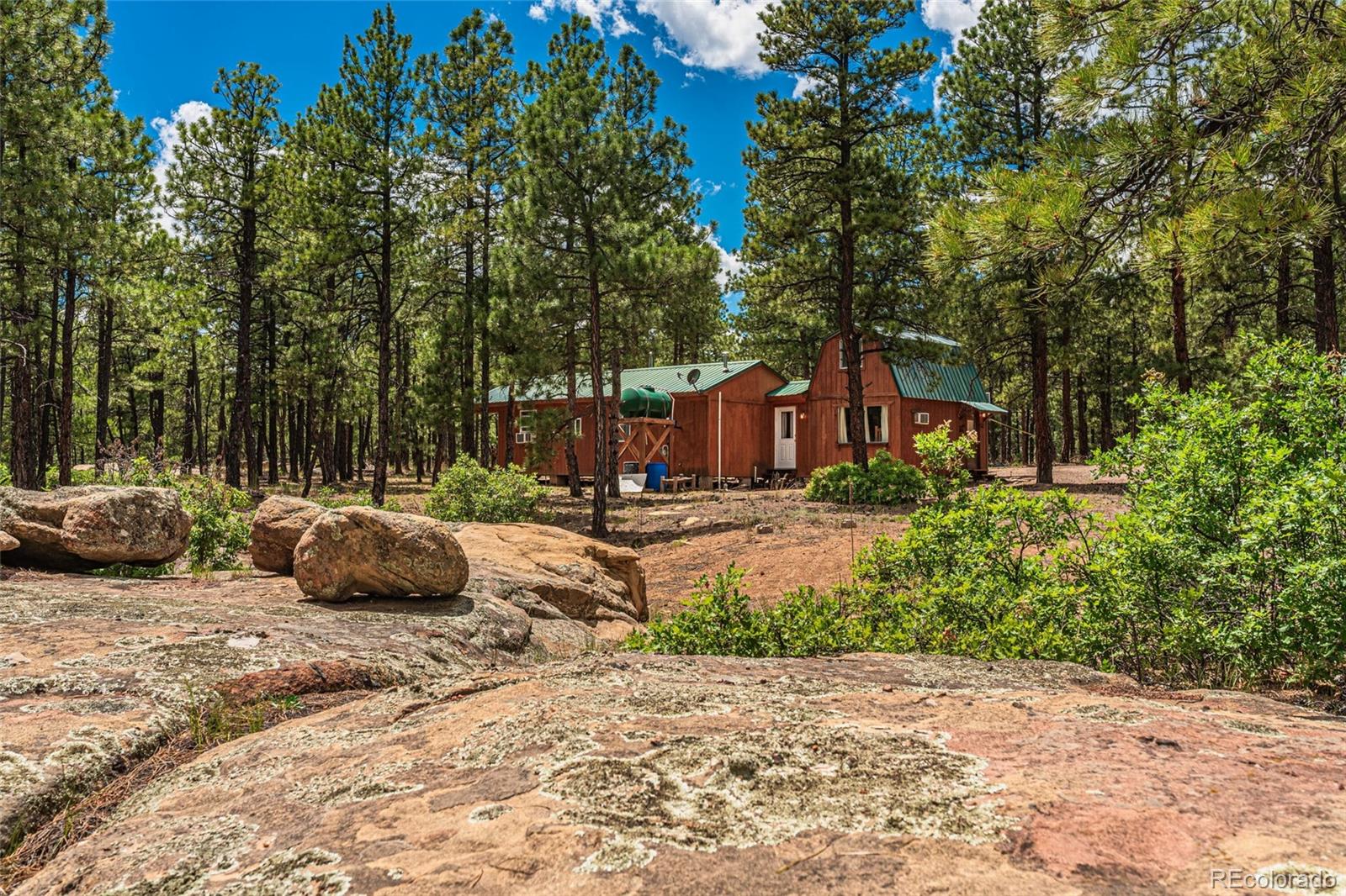Report Image #1 for 13250  Mountain Meadow Trace,Weston, Colorado