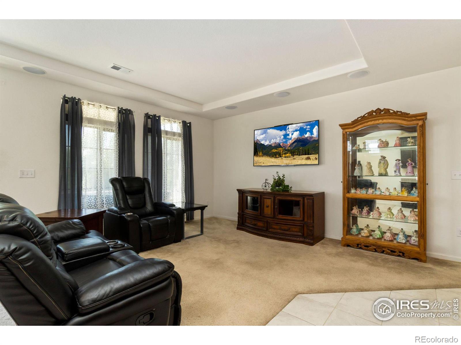 Report Image #1 for 18998 E 54th Place,Denver, Colorado