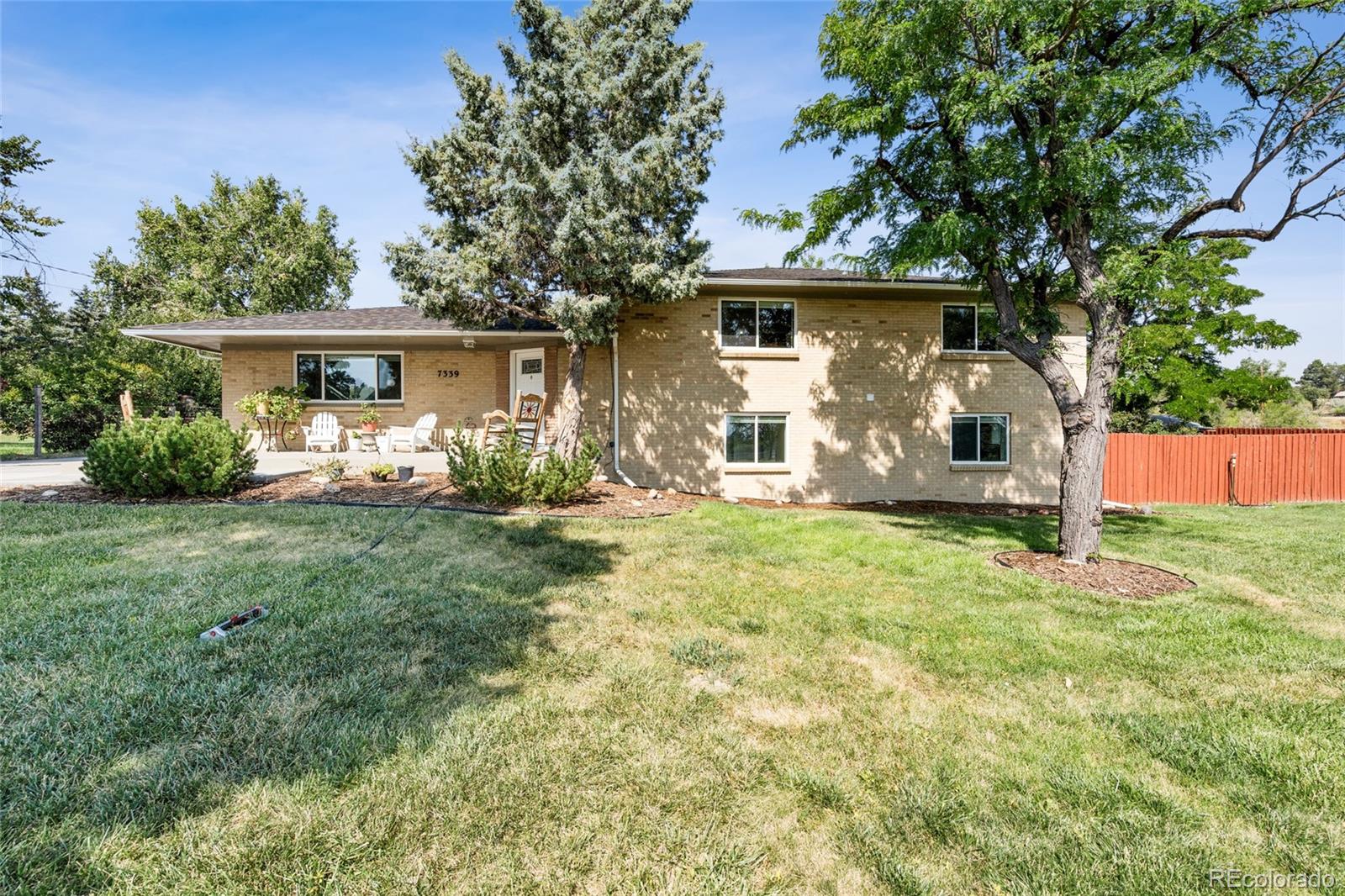 MLS Image # for 7339  carr street,arvada, Colorado