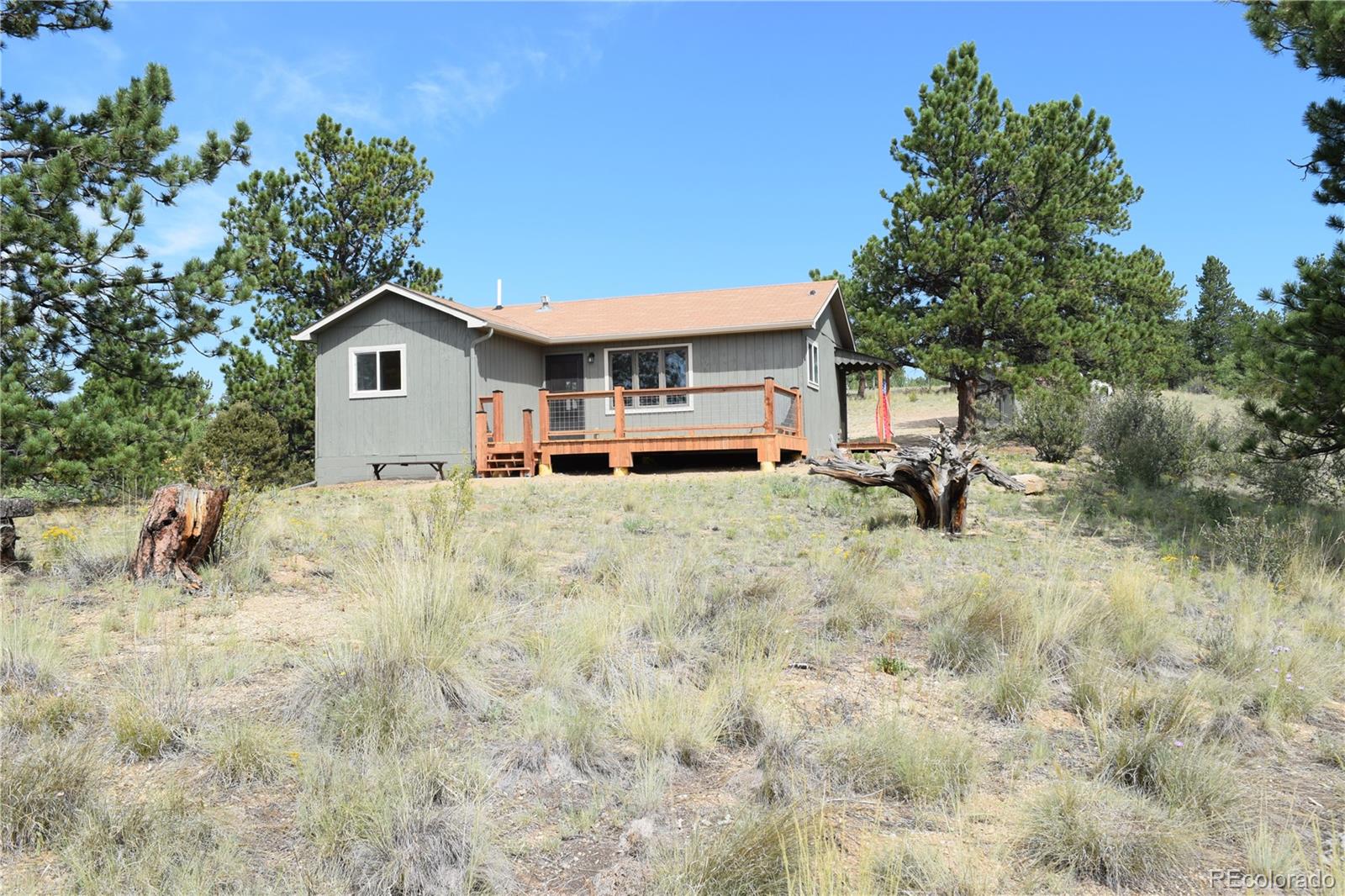 Report Image #1 for 1651  Aspen Trail,Hartsel, Colorado
