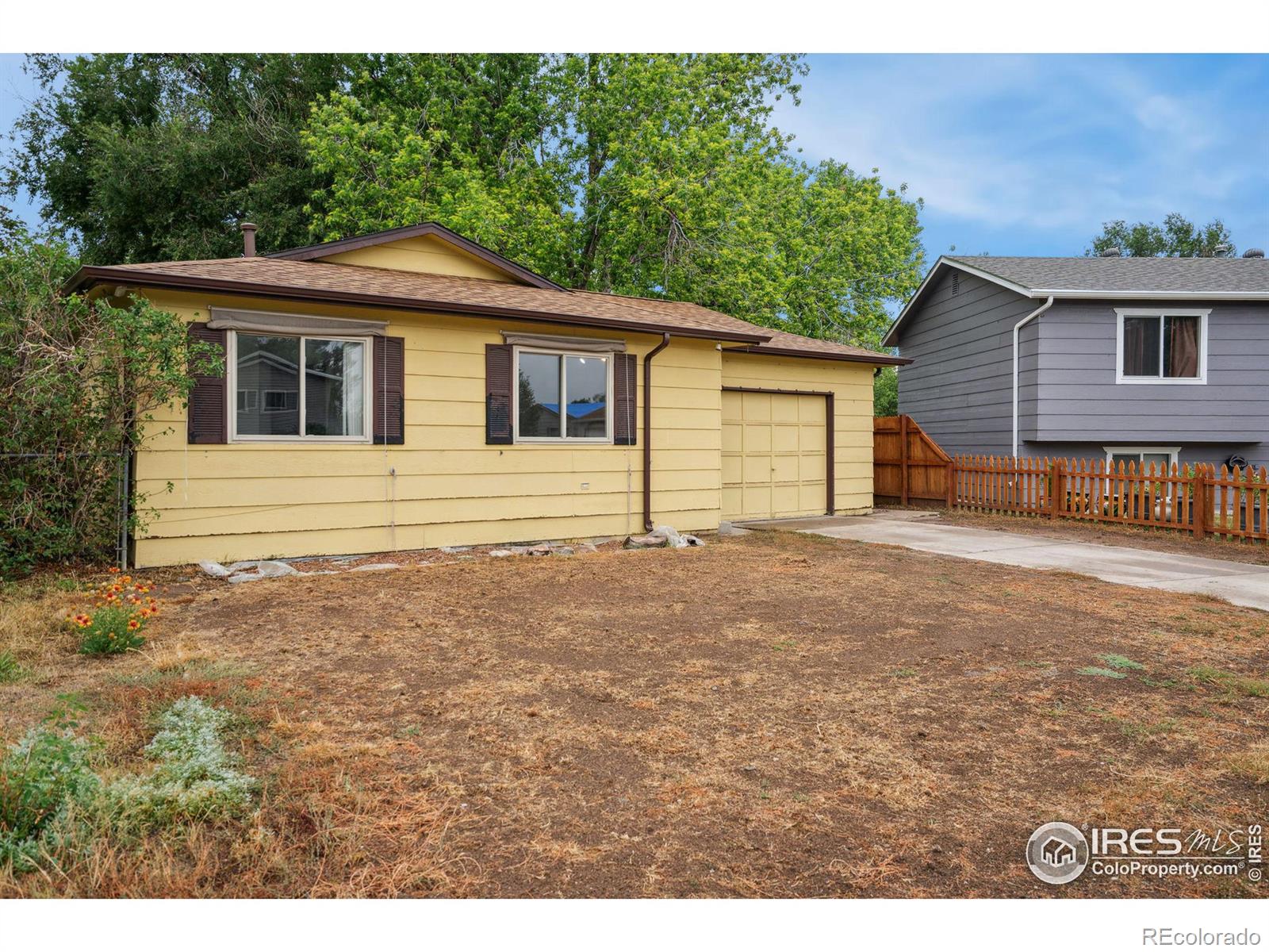 Report Image #1 for 2069  Wedgewood Court,Greeley, Colorado