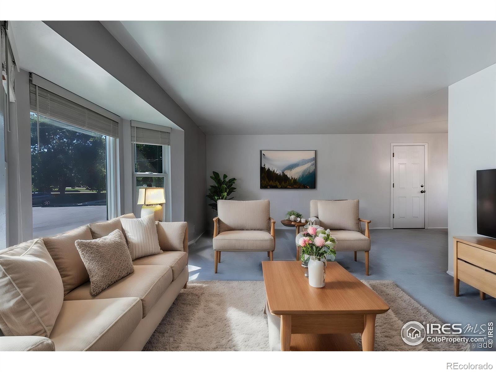 Report Image #1 for 3185 S Elmira Court,Denver, Colorado