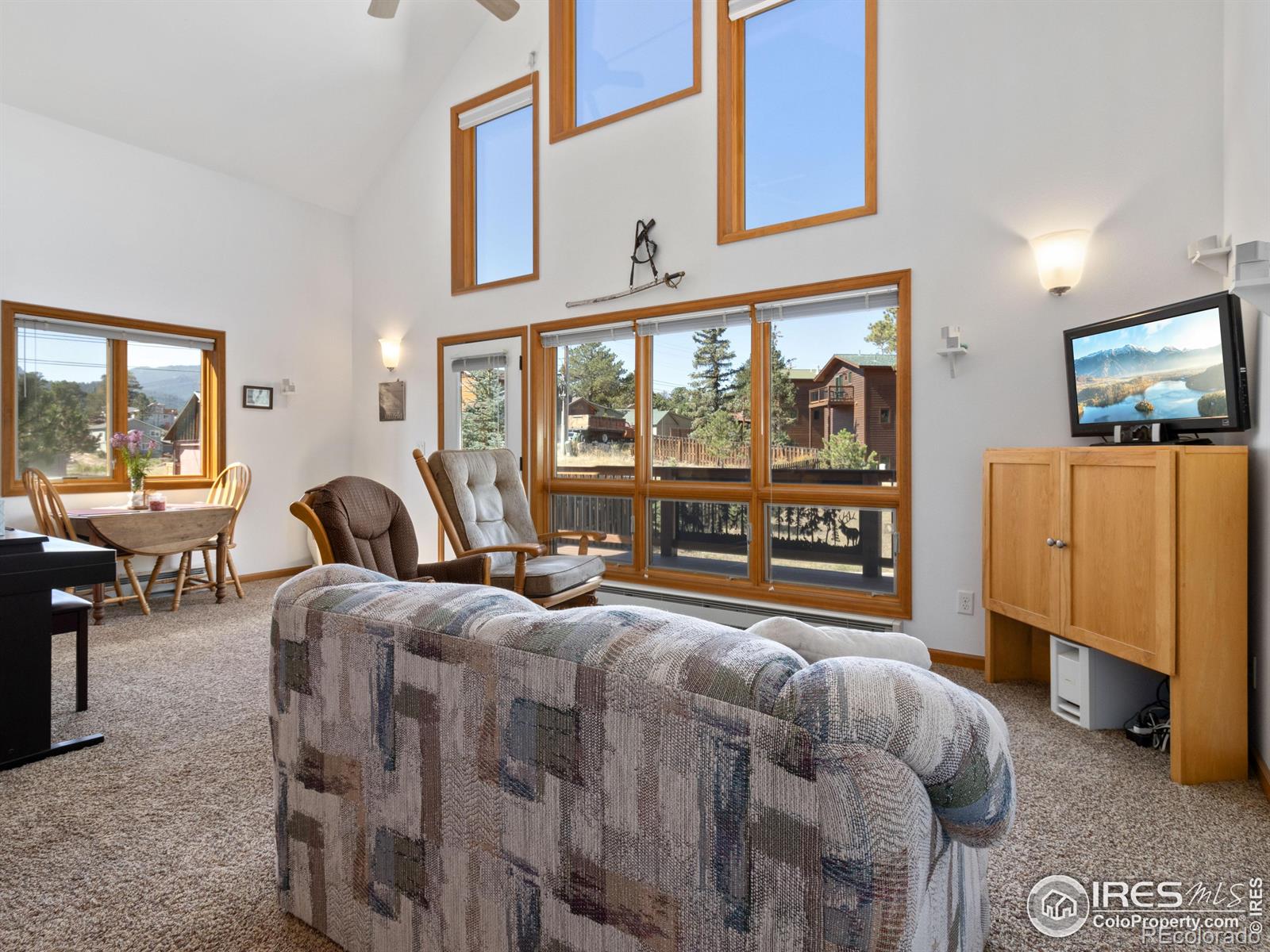 Report Image #1 for 131  Willowstone Court,Estes Park, Colorado