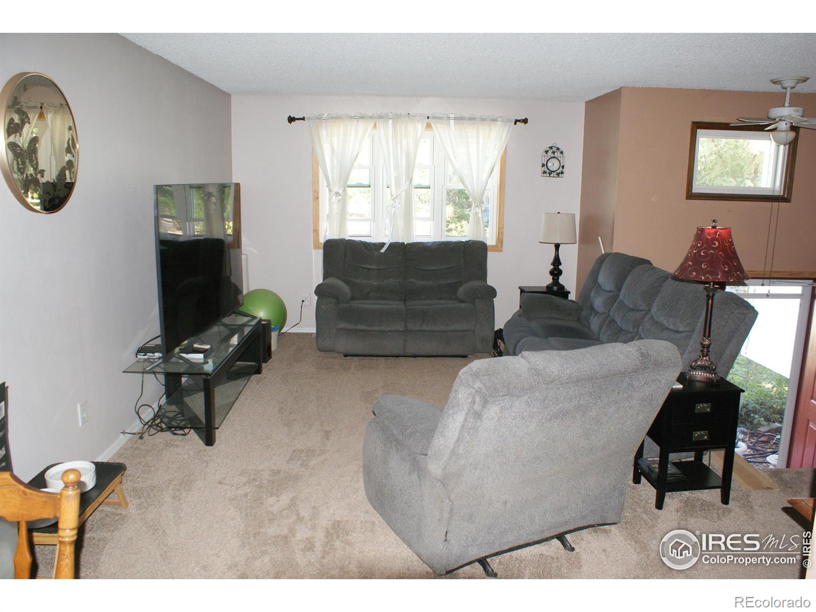 Report Image #1 for 342  Grant Avenue,Firestone, Colorado