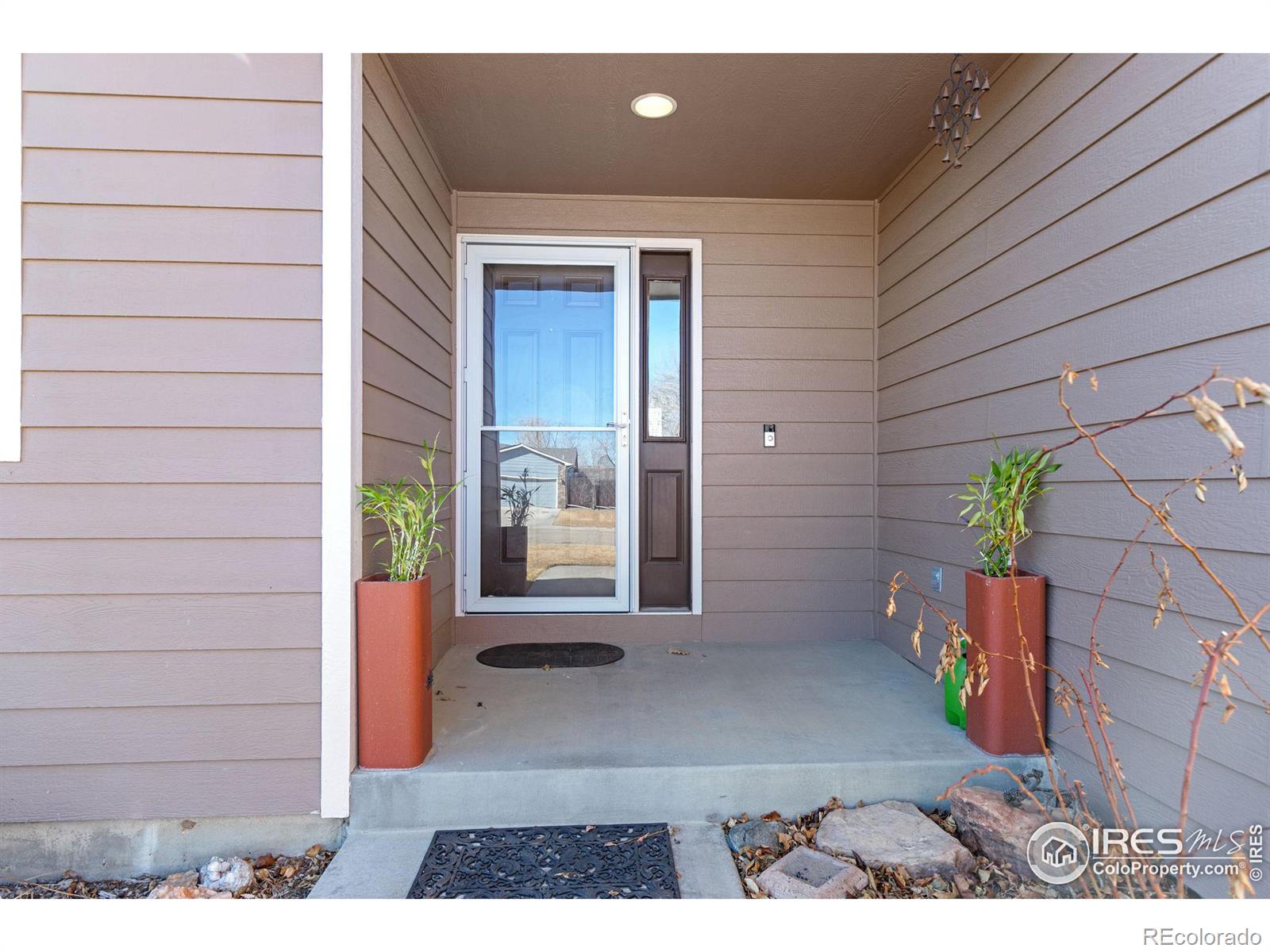 Report Image #1 for 8419  Three Silos Drive,Wellington, Colorado