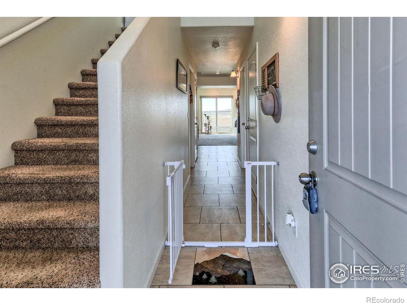 Report Image #1 for 3169  Fairmont Drive,Wellington, Colorado