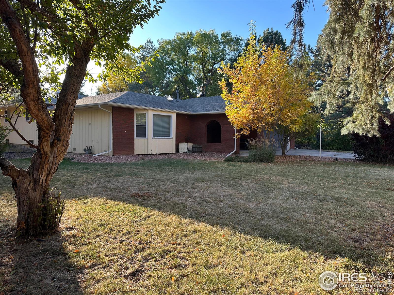 Report Image #1 for 5506  Bitterbush Way,Loveland, Colorado