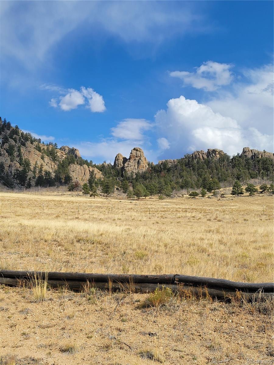 Report Image #1 for 940  Puma Hills Road,Lake George, Colorado