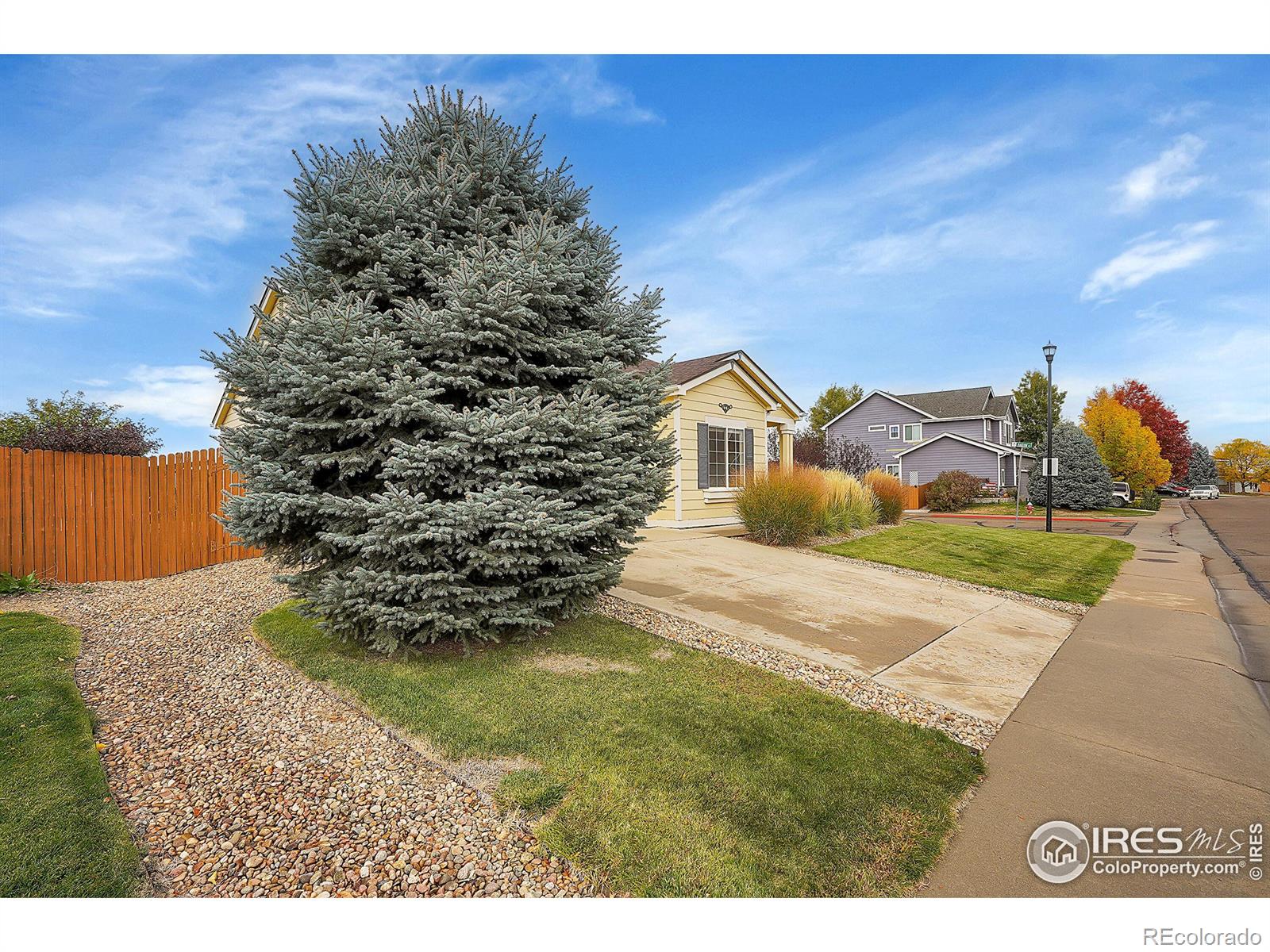 Report Image #1 for 215  Elizabeth St Cir,Dacono, Colorado