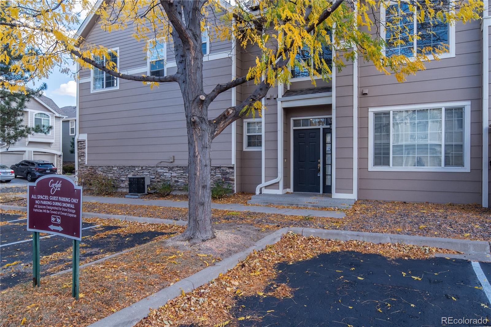 Report Image #1 for 1391  Carlyle Park Circle,Highlands Ranch, Colorado