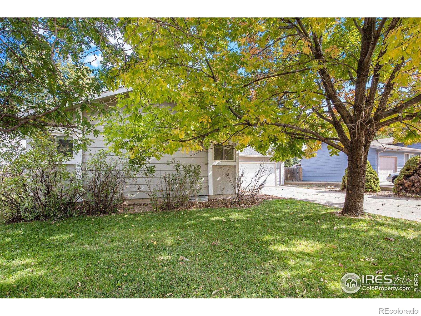 Report Image #1 for 804  41st Avenue,Greeley, Colorado