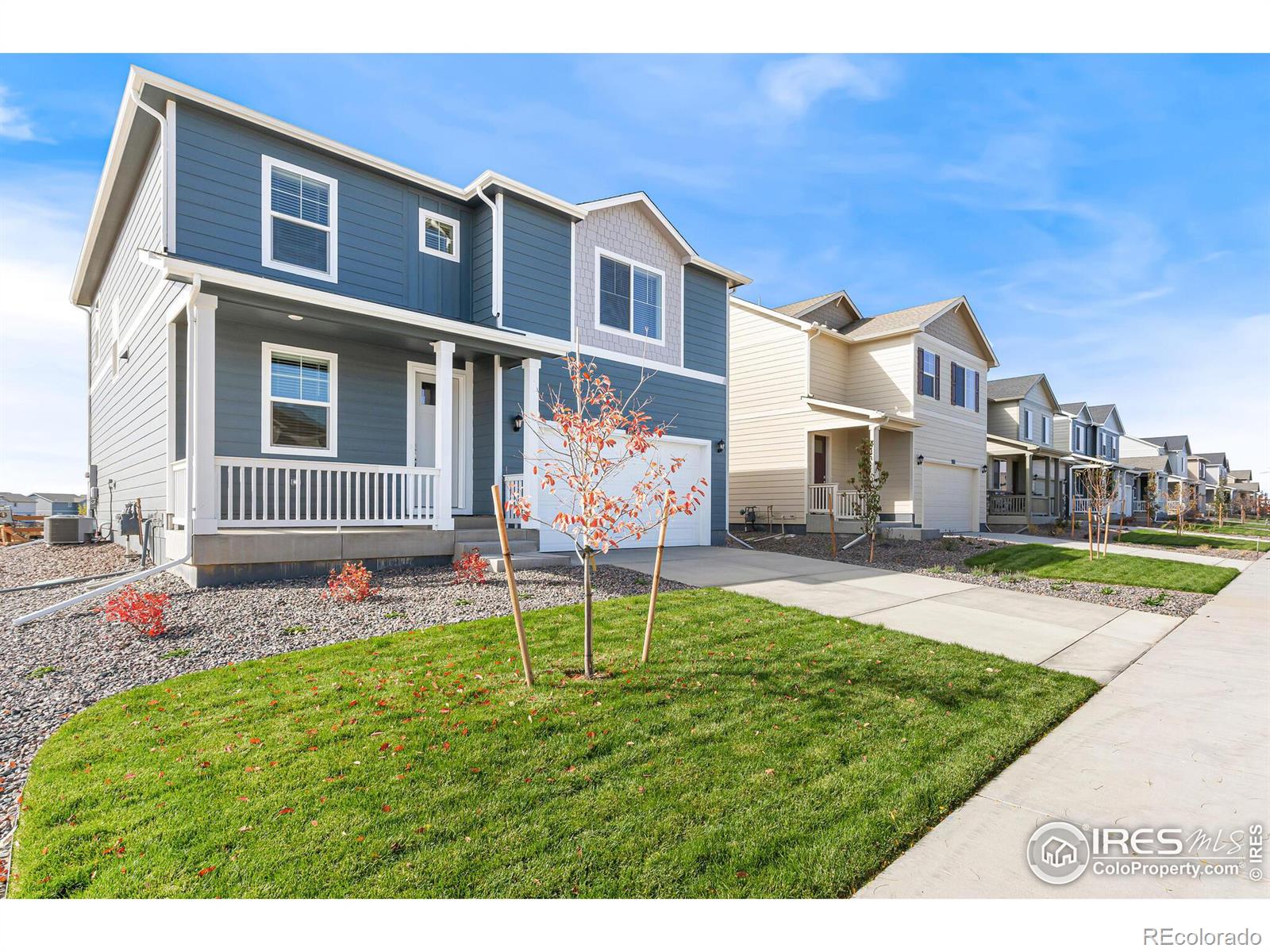 Report Image #1 for 6514  A Street,Greeley, Colorado