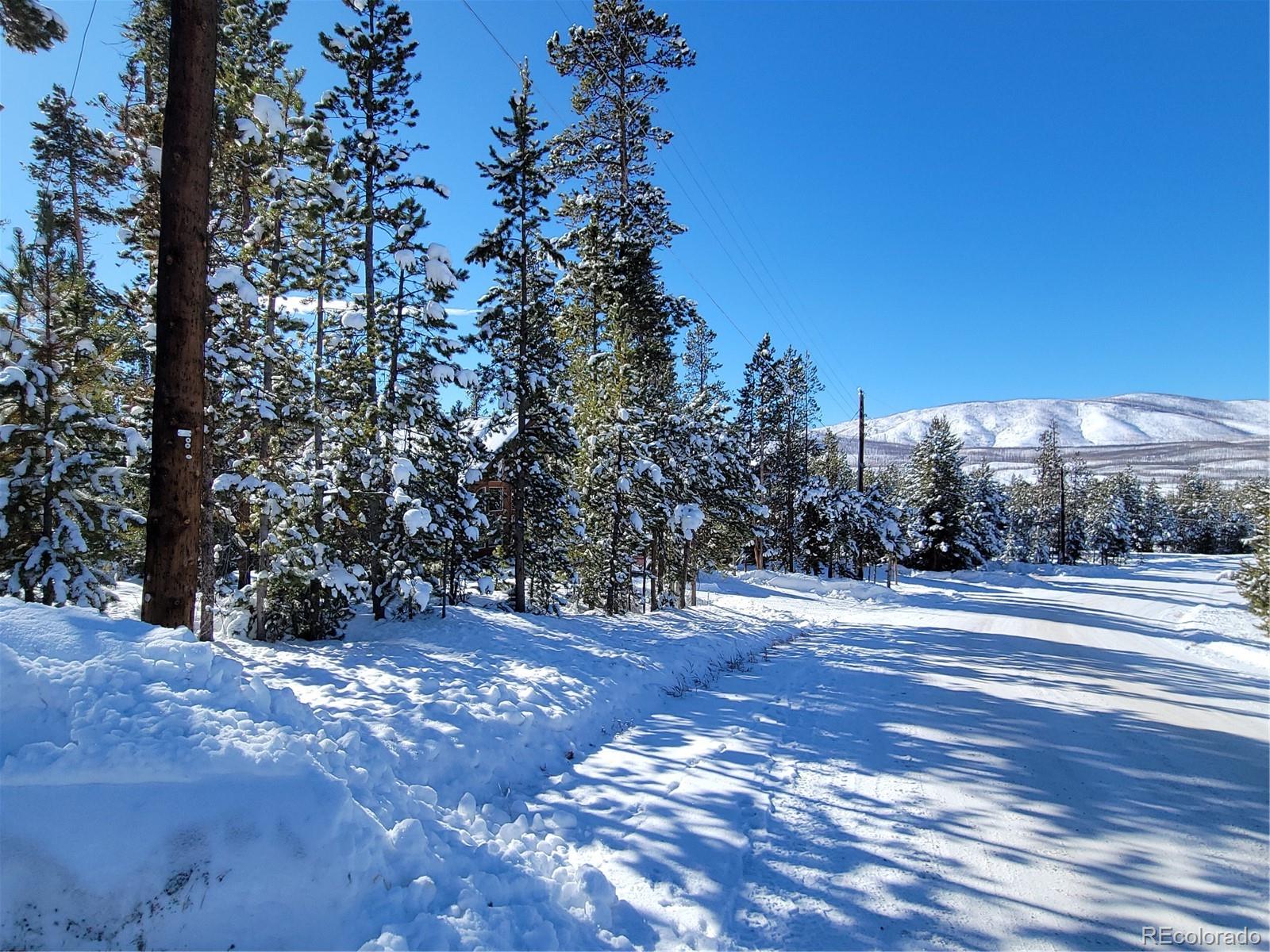 Report Image #1 for 1318  GCR 49 ,Grand Lake, Colorado